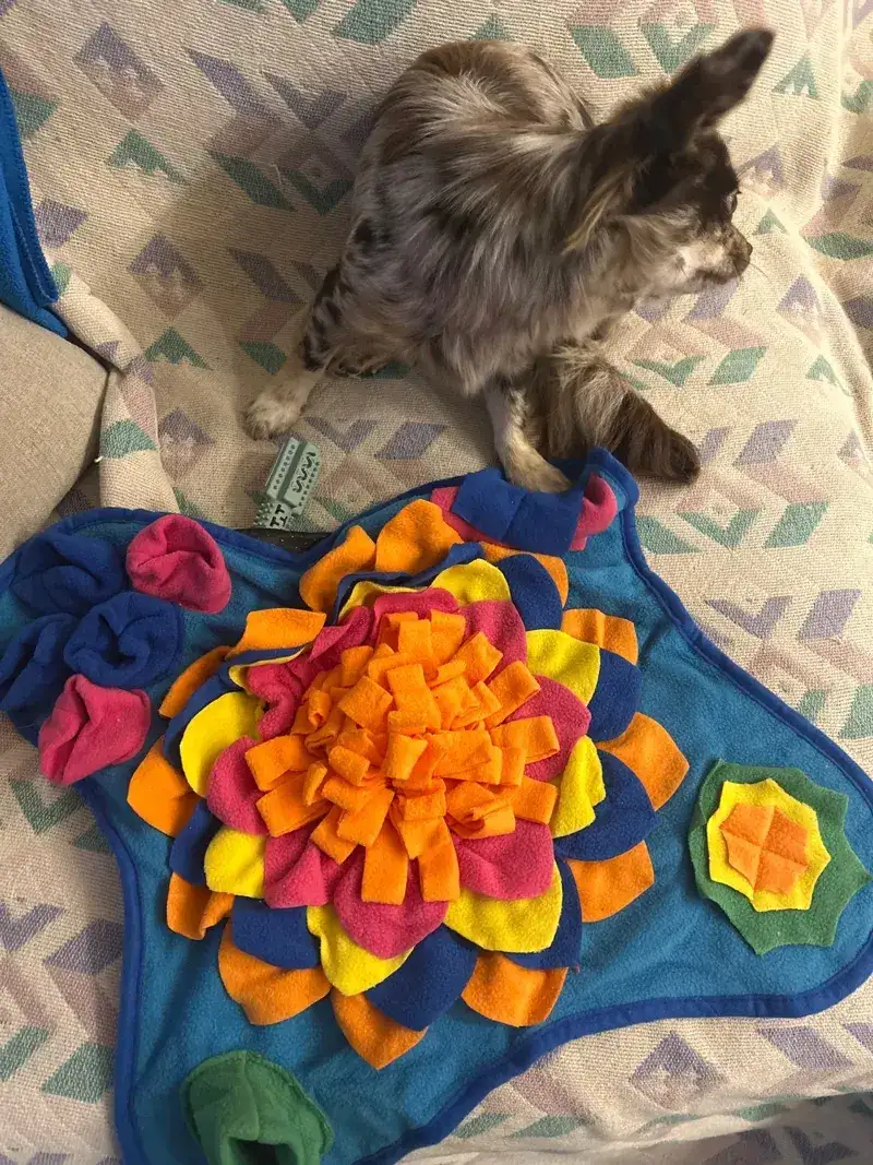 Sniffgrove snuffle mat photographed at home by Nicole B., a verified buyer