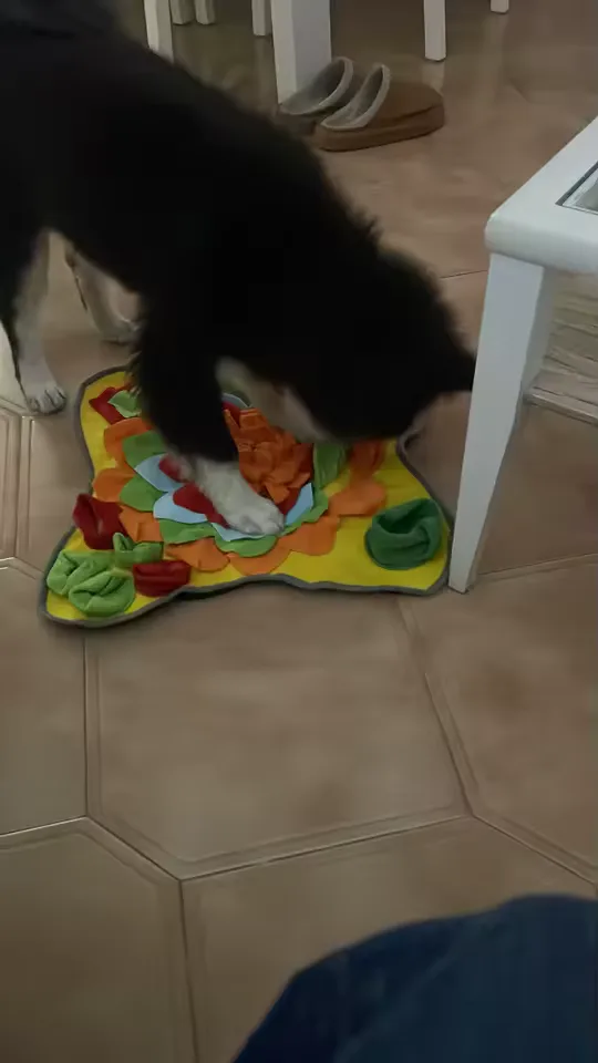 Buyer photo: a black and white collie pawing at the Sunny yellow snuffle mat on a tiled floor
