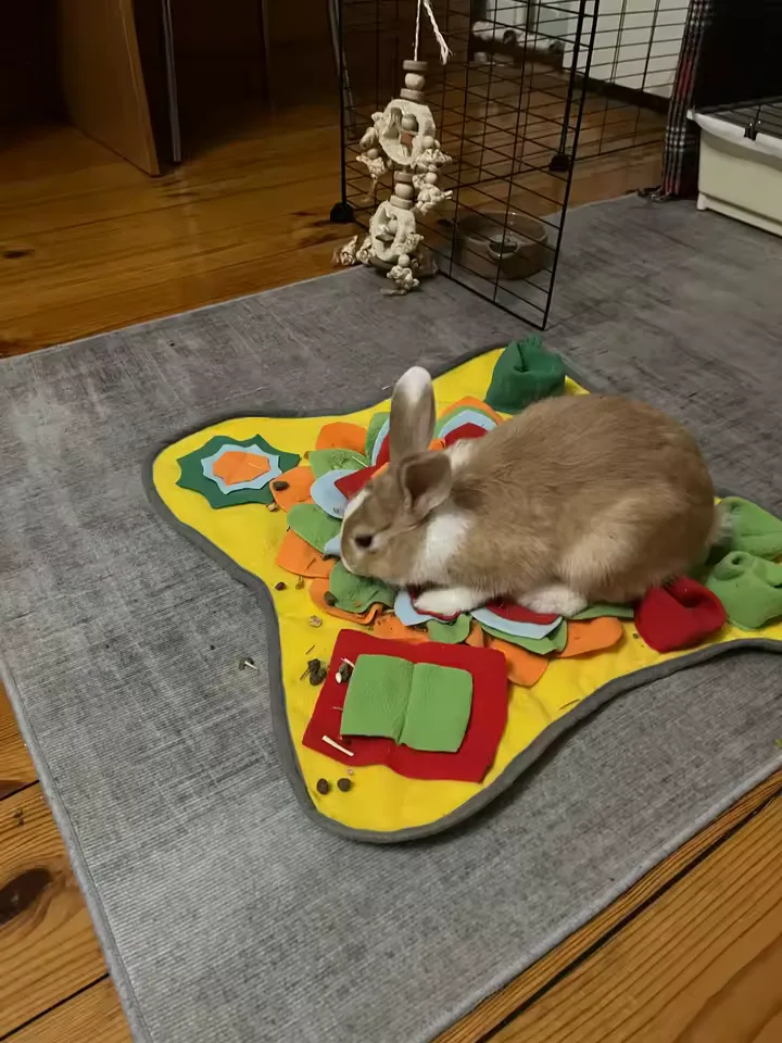 Buyer photo: a rabbit foraging on the Sunny yellow snuffle mat on a gray rug