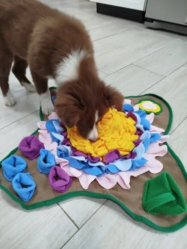Sniffgrove snuffle mat photographed at home by M***e, a verified buyer