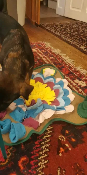 Sniffgrove snuffle mat photographed at home by h***r, a verified buyer